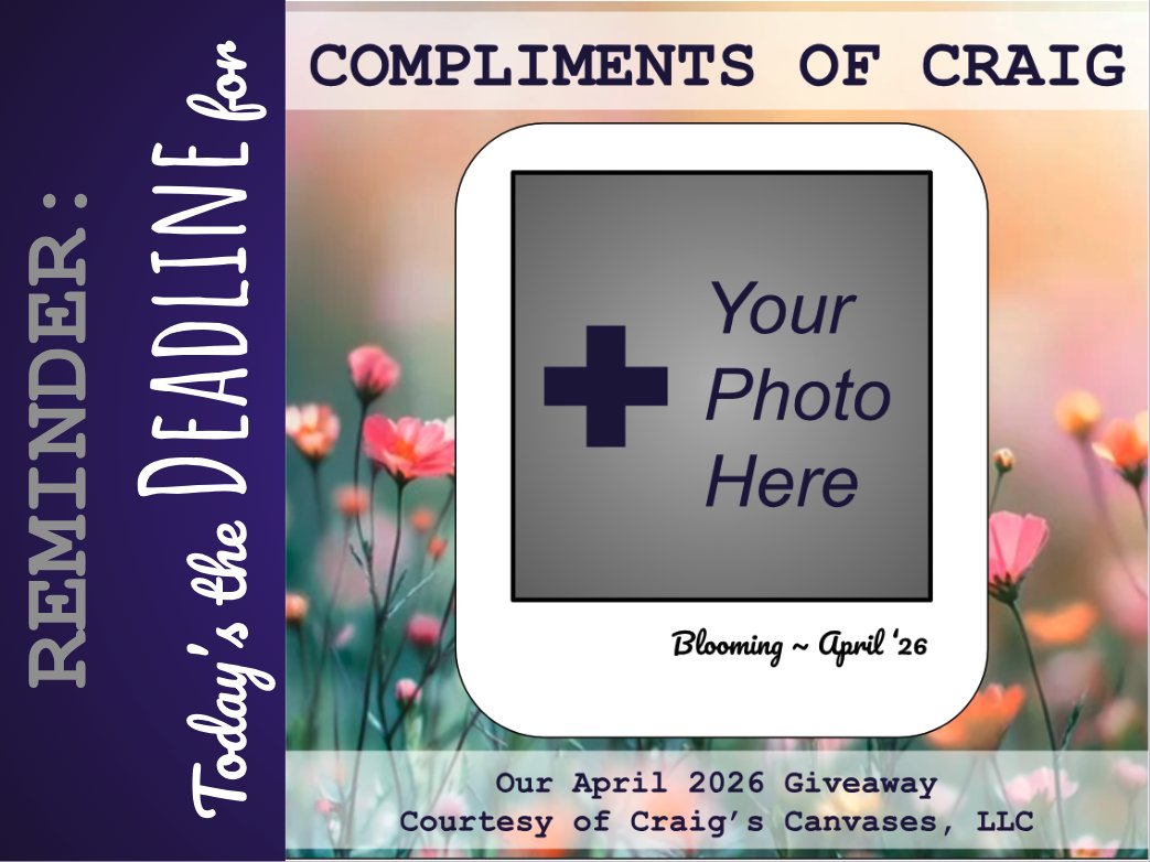 craigscanvases's tweet photo. #complimentsofcraig #blooming #showusyourbloom #showusyourblooms #april #aprilgiveaway #aprilgiveaways #aprilgiveawaycontest #aprilcontest #entertowin #entertowingiveaway #giveaways #giveawayalert #giveawaycontest #prizedrawing #harrisburgartist #controlledchaos #craigscanvases https://t.co/mqyi6QWqyu