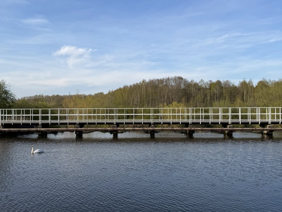 rly cool girl tweet media