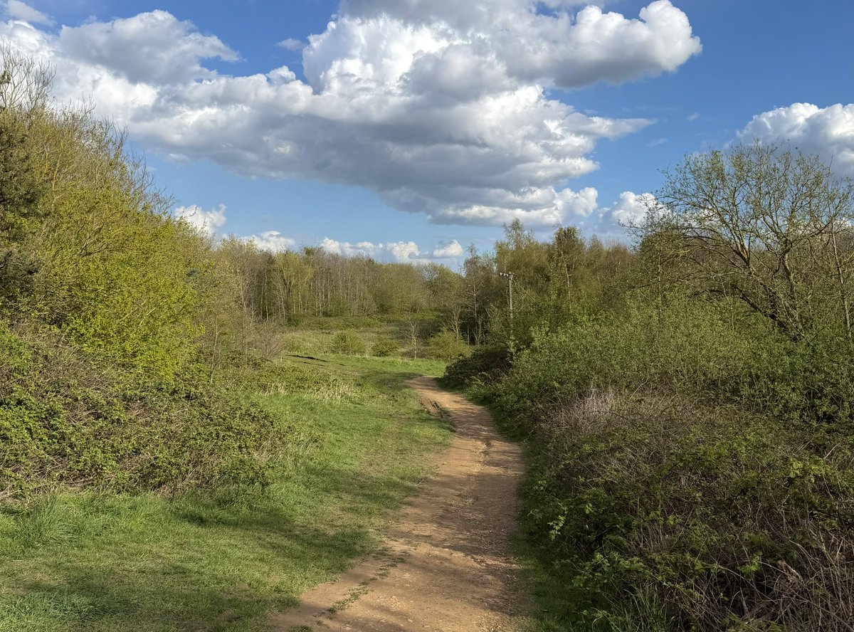 rly cool girl tweet media