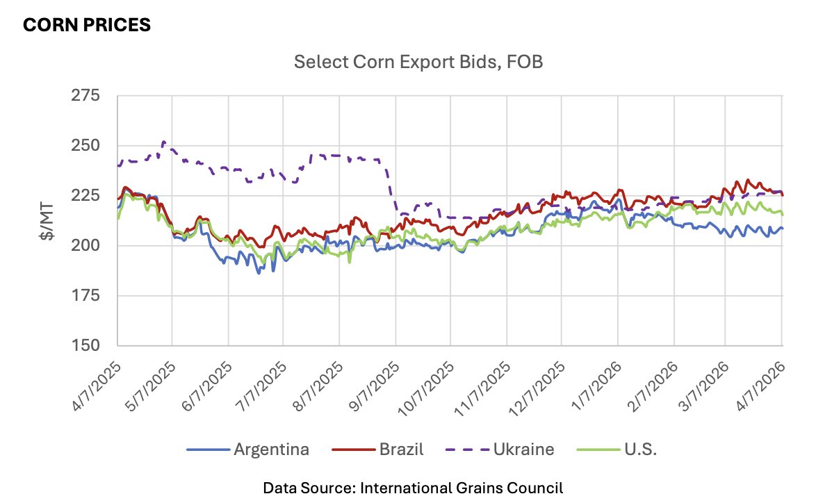 FarmPolicy's tweet image. 1/ Since the March WASDE, global #corn #export #bids from major origins were little changed, excluding the United States, which fell $4 to $217/ton.

From the @USDAForeignAg: tinyurl.com/bddebkup