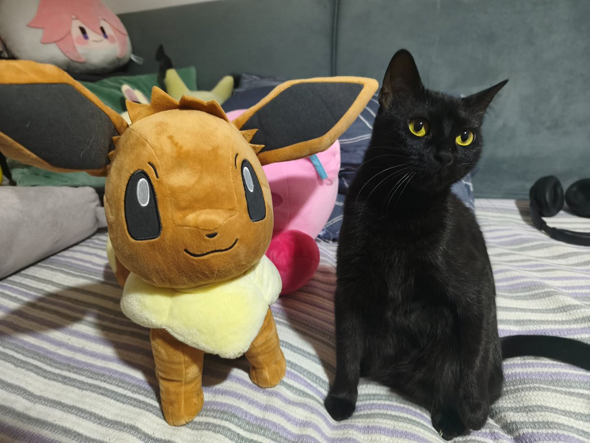 the umbreon at home