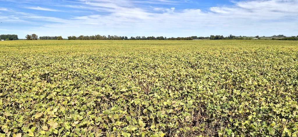 Valentín tweet media