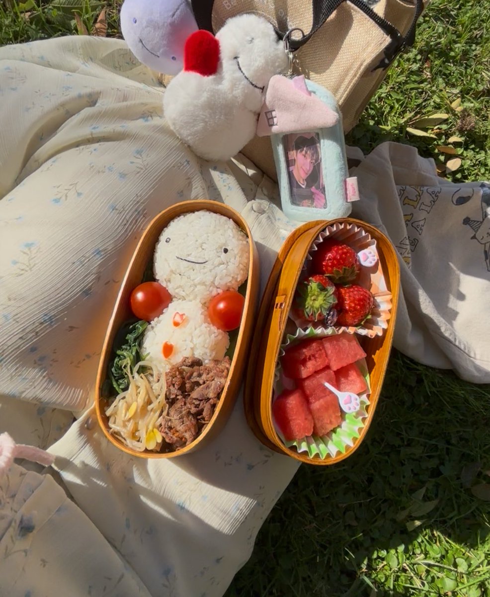 똑똑 🐾 ⋆.𐙚 ̊ tweet media