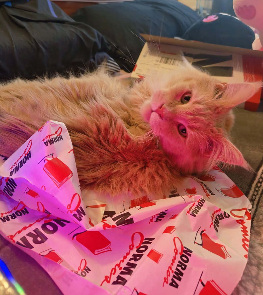 ❄️Luna Newdawn❄️ tweet media