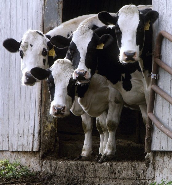 ★ | We got the whole squad watching