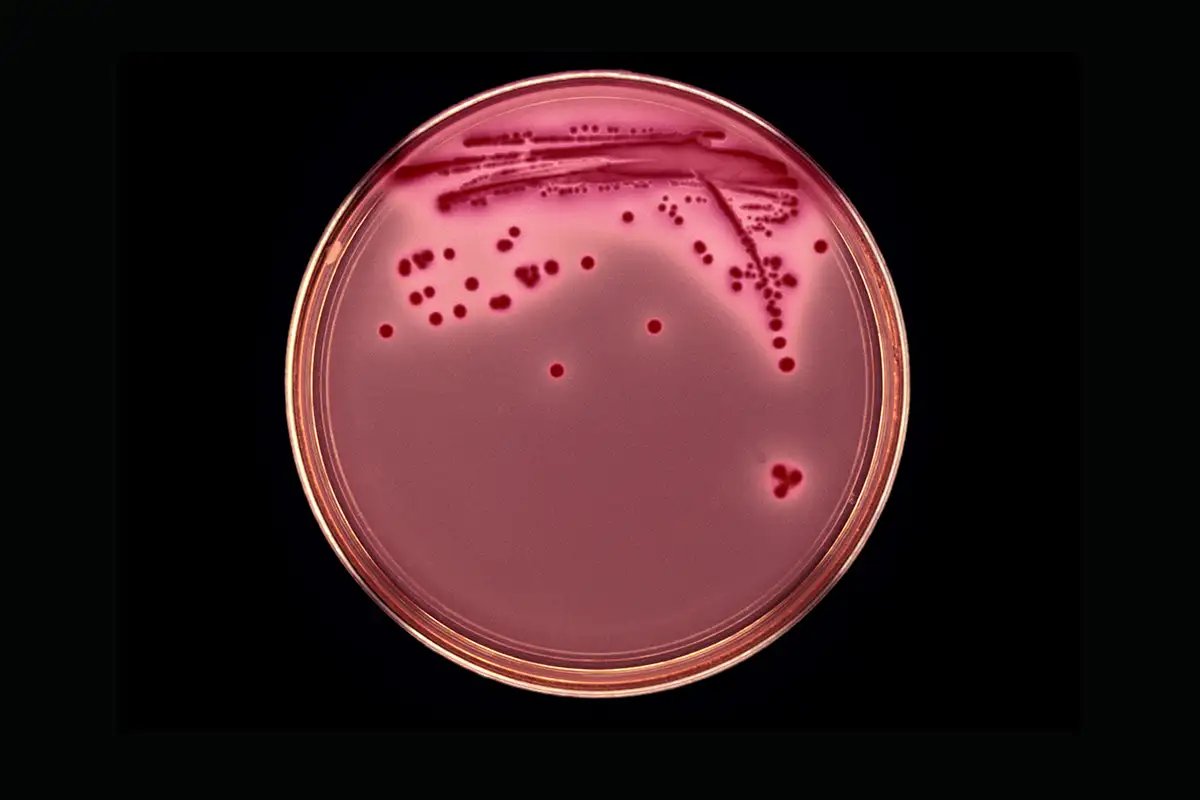 Night Sky Today tweet media