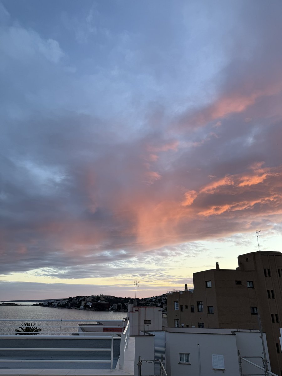 Duncan Wingen tweet media