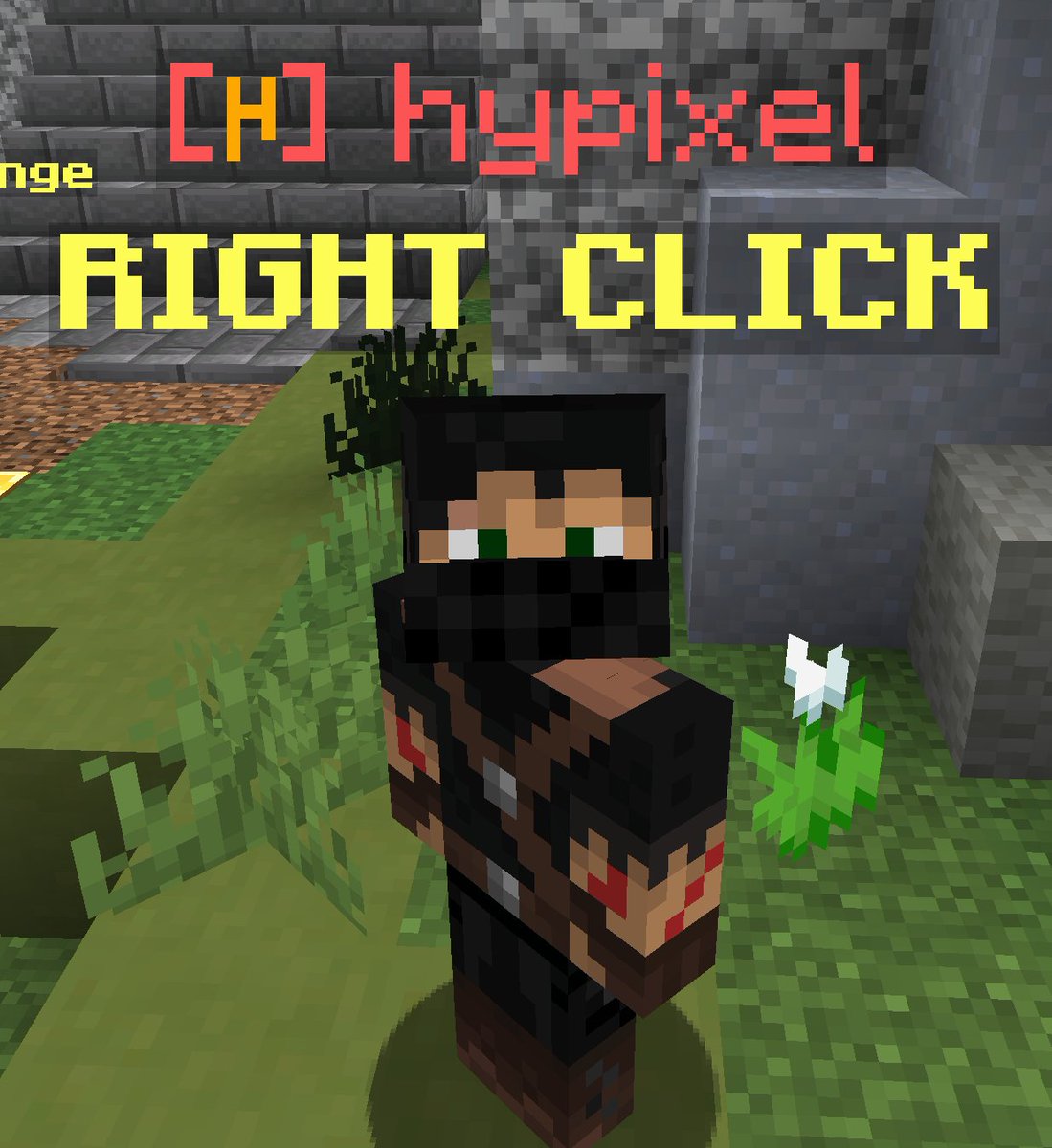 Hypixel Server tweet media