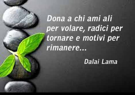 Babbaribba tweet media