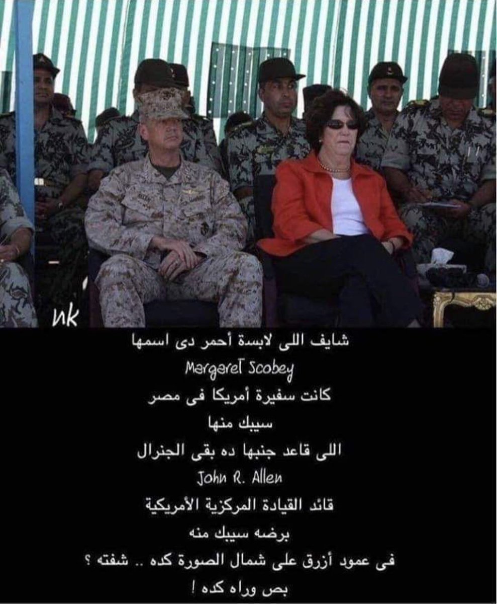 high seas tweet media