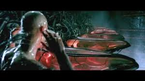 FivelSSP tweet media