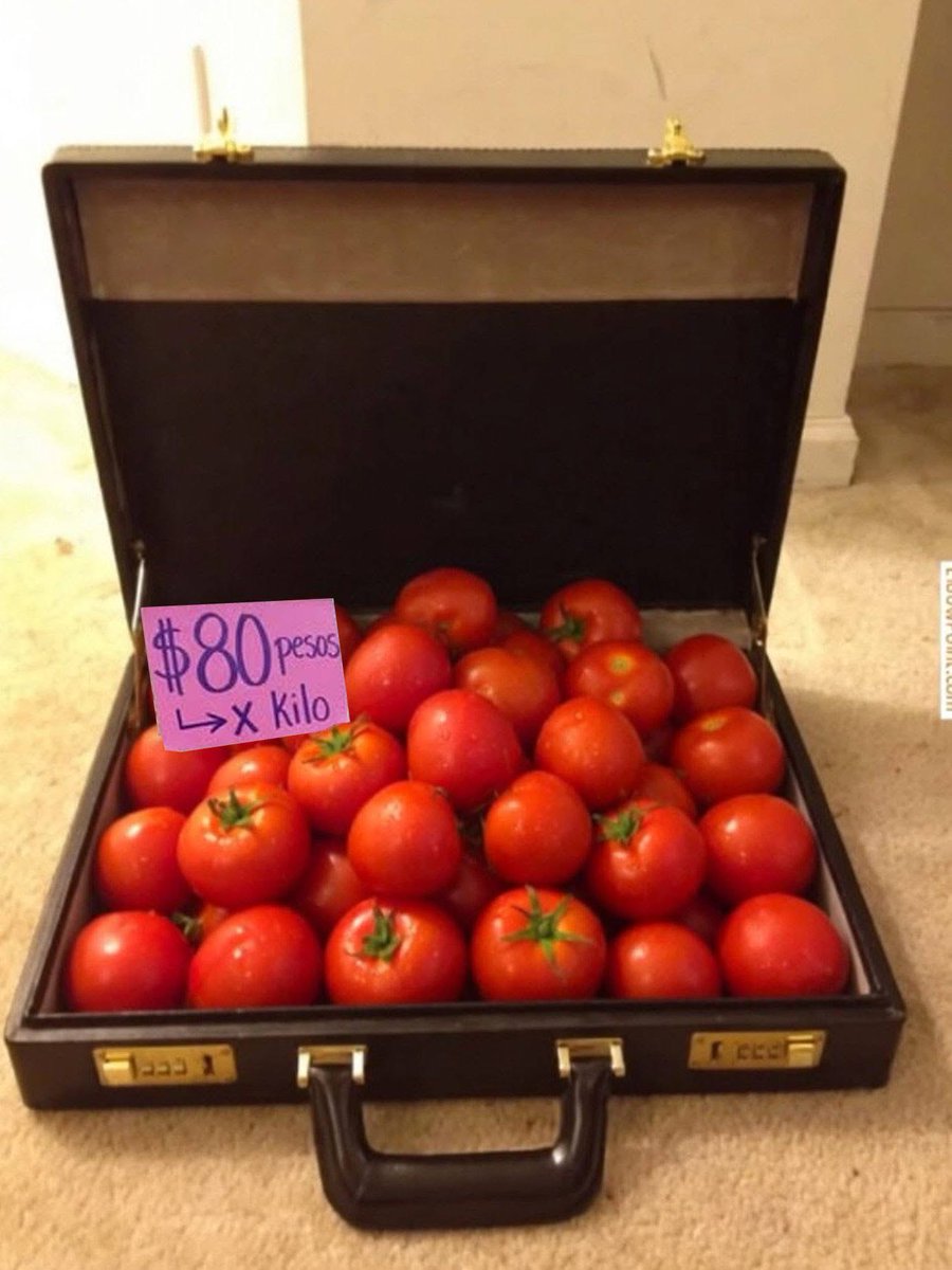 Carlos Torres tweet media