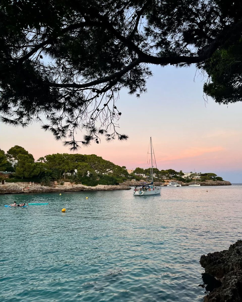 Girls therapy tweet media