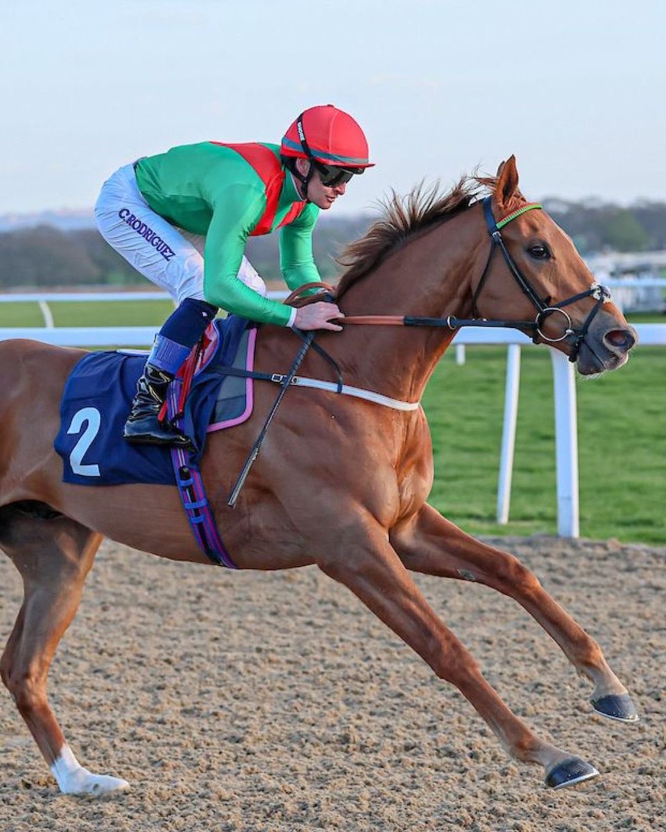 Edward Bethell Racing tweet media