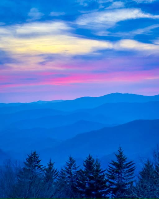 PJ Henthorne (@onecentpatriot) on Twitter photo 