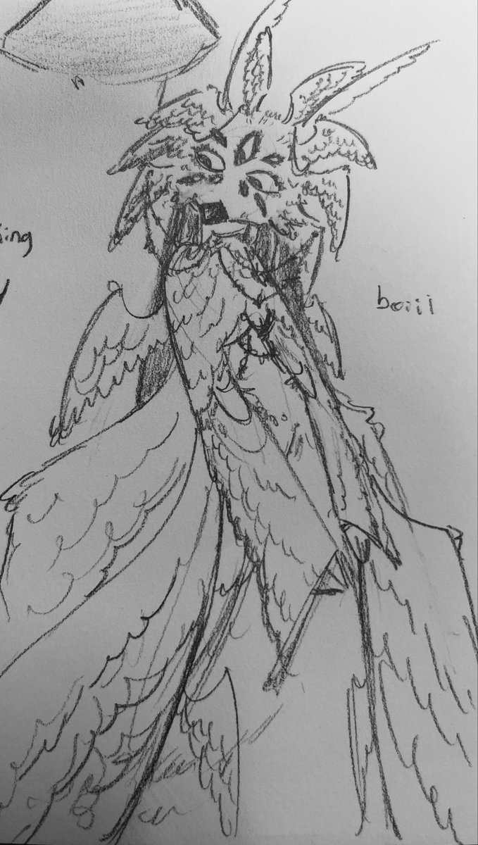 ✦₊ Blu — 🌐 tweet media