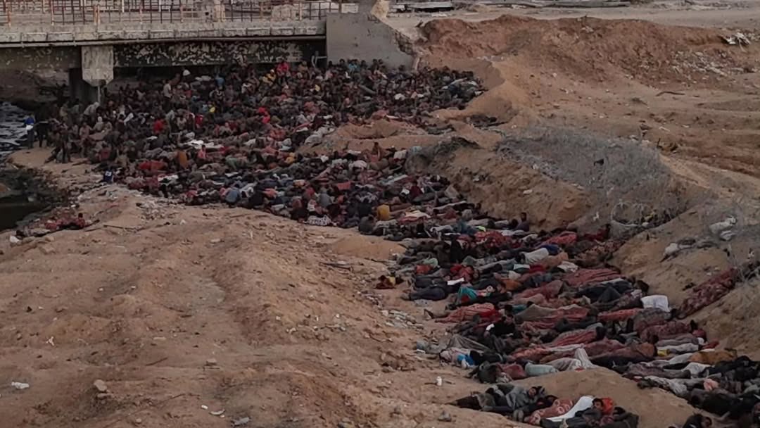 ShadowSpect tweet media