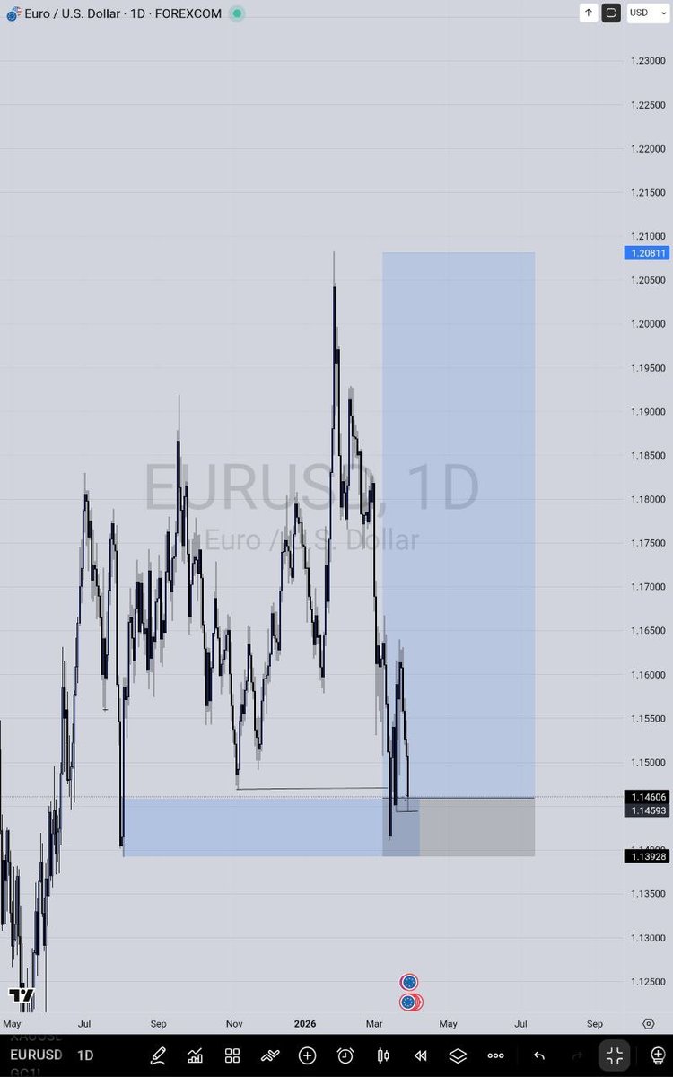 Lex 🔌📈 tweet media