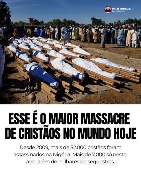 Flavio Schiavini tweet media