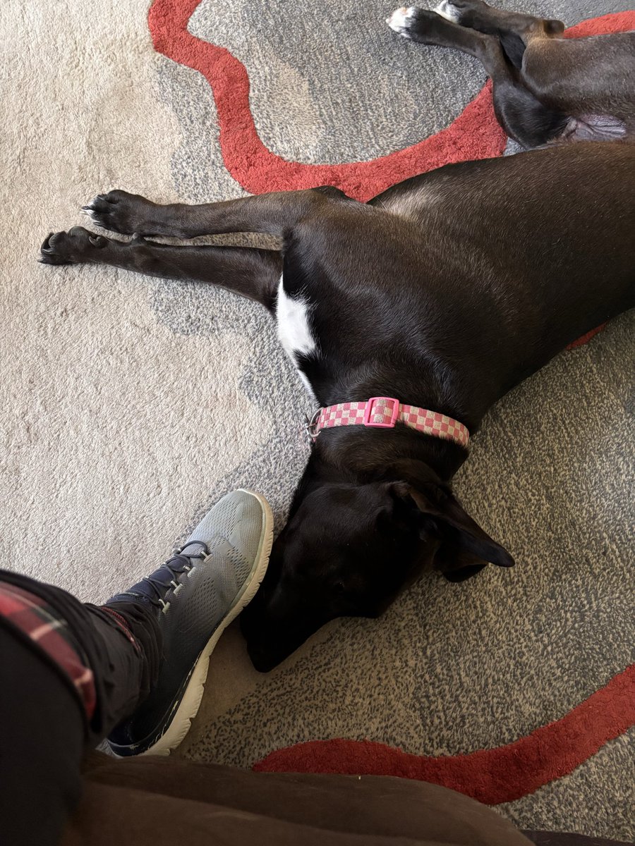 Sharlene ☮️🌊🌈🇺🇦🇬🇱 tweet media