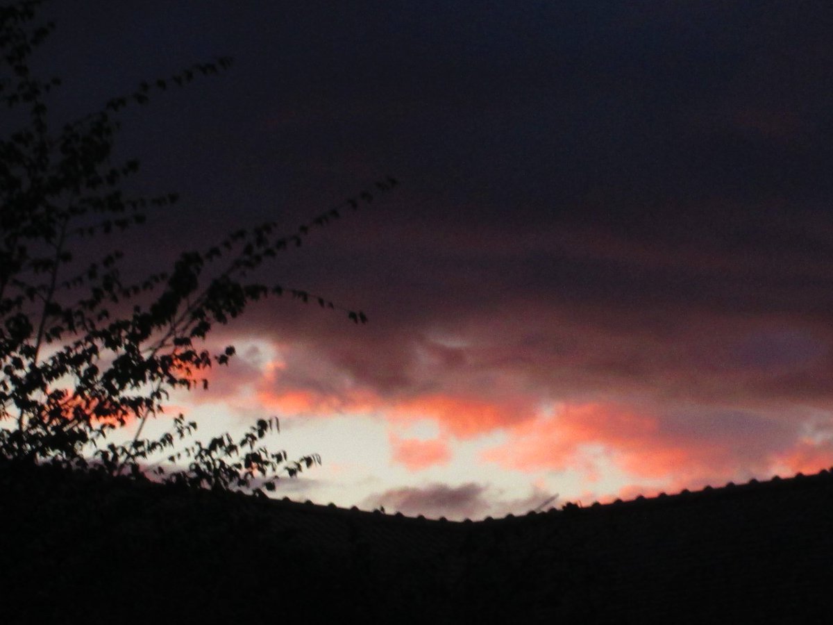 امينة tweet media