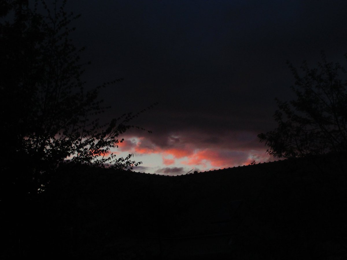 امينة tweet media