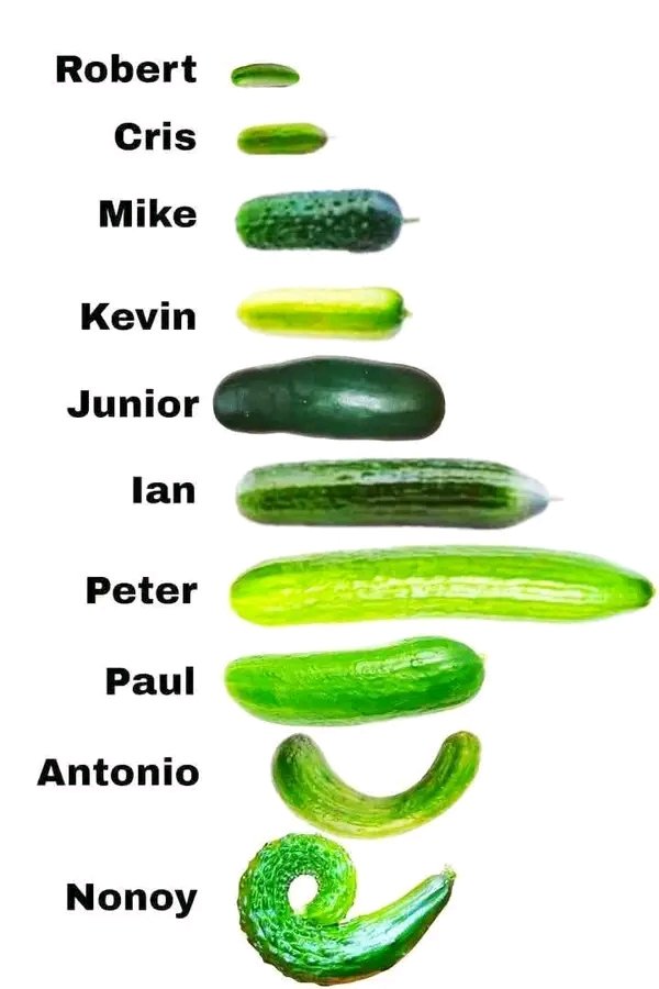 Nami Jojo💦🫦 tweet media