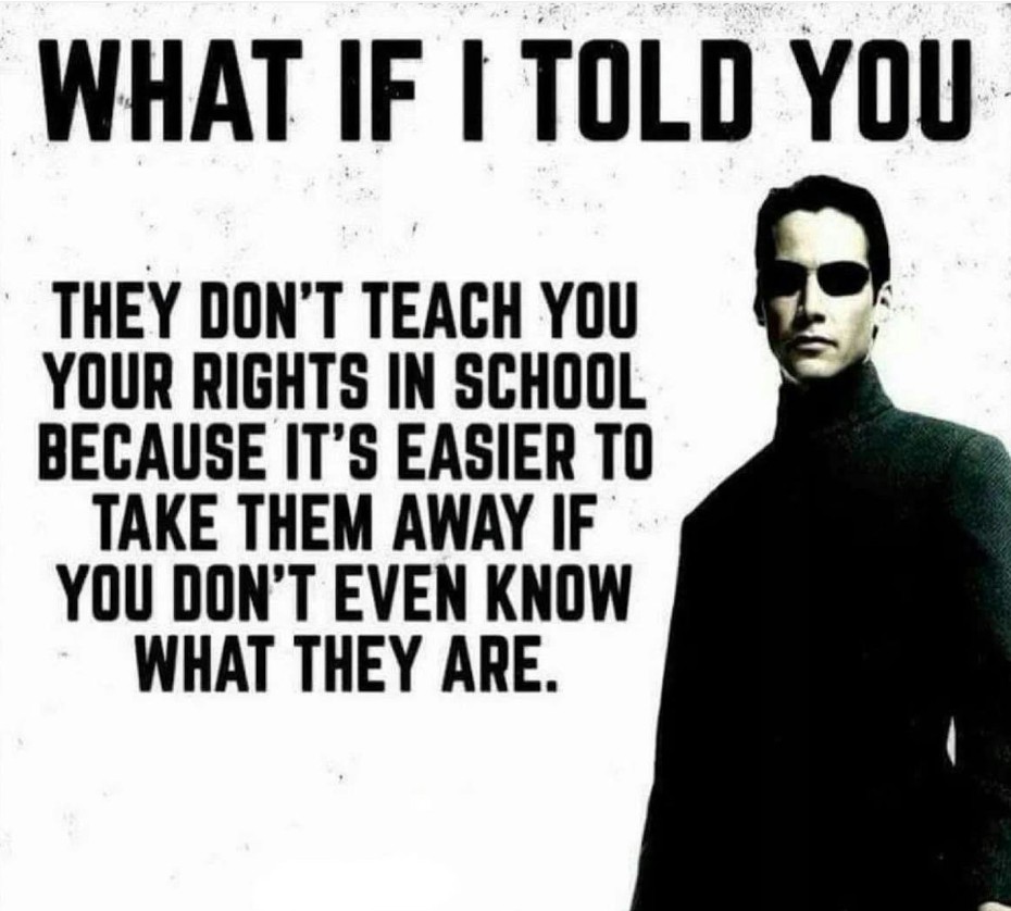 PiratesandBums tweet media