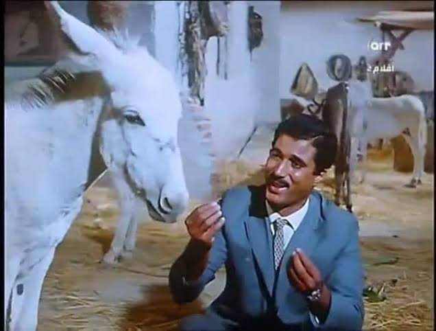 مودي tweet media