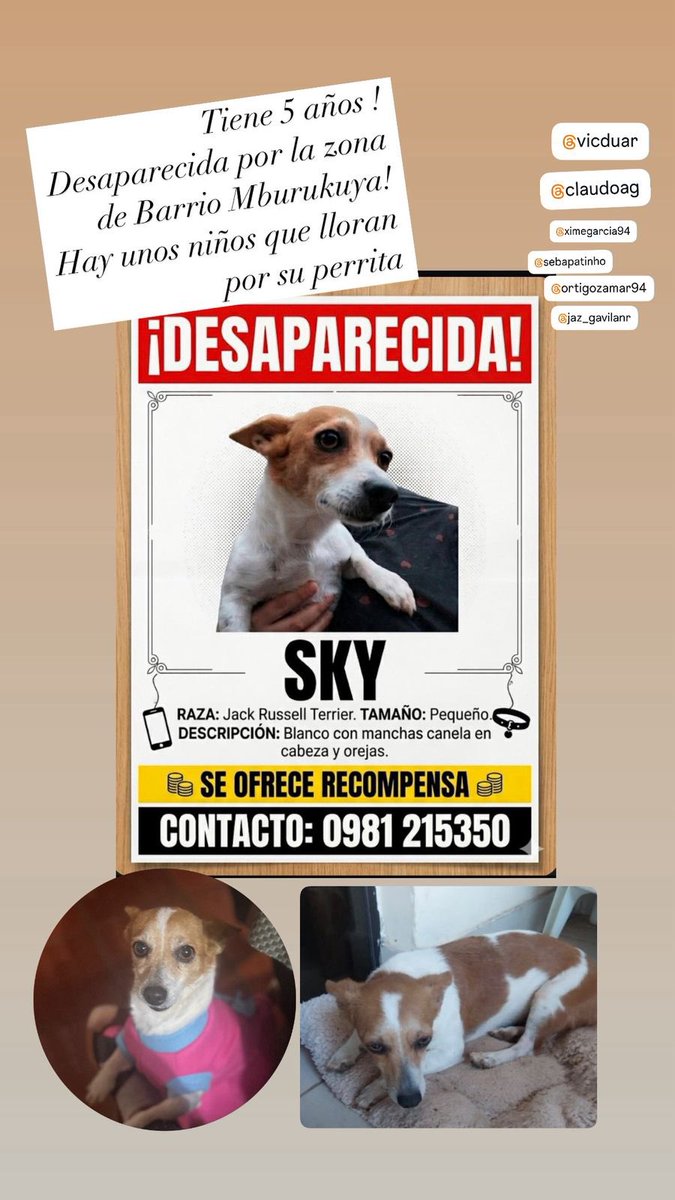 Marcando Huellas tweet media