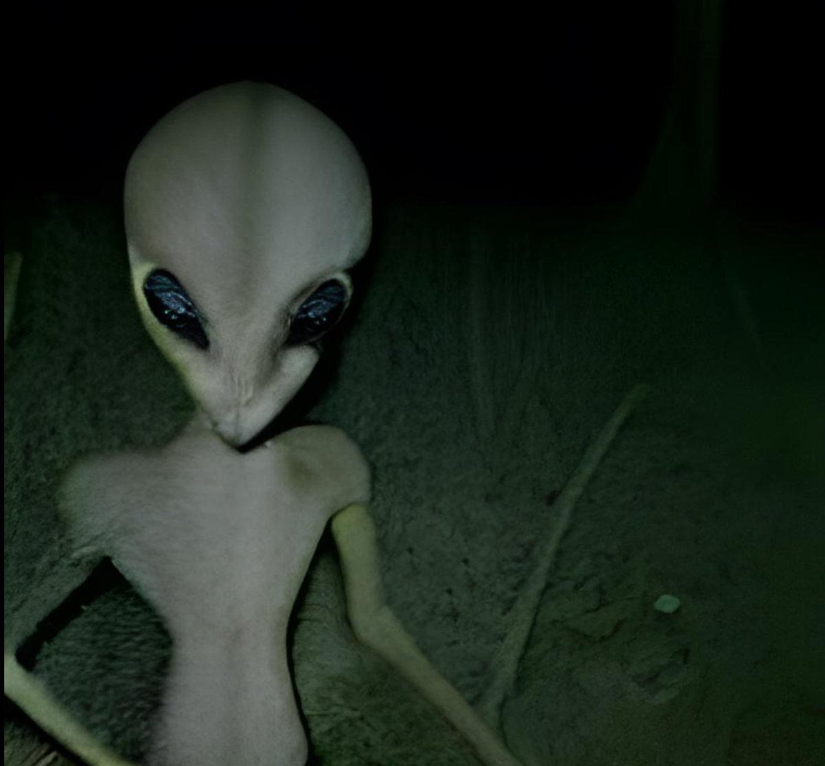 Rand Group tweet media