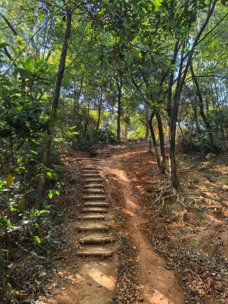 Пульхерия Татарова tweet media