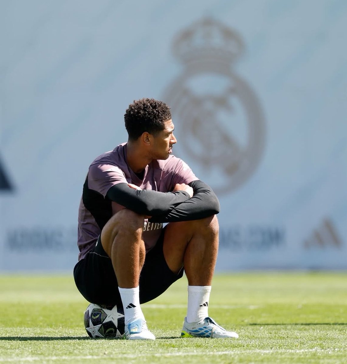 Madrid Zone tweet media
