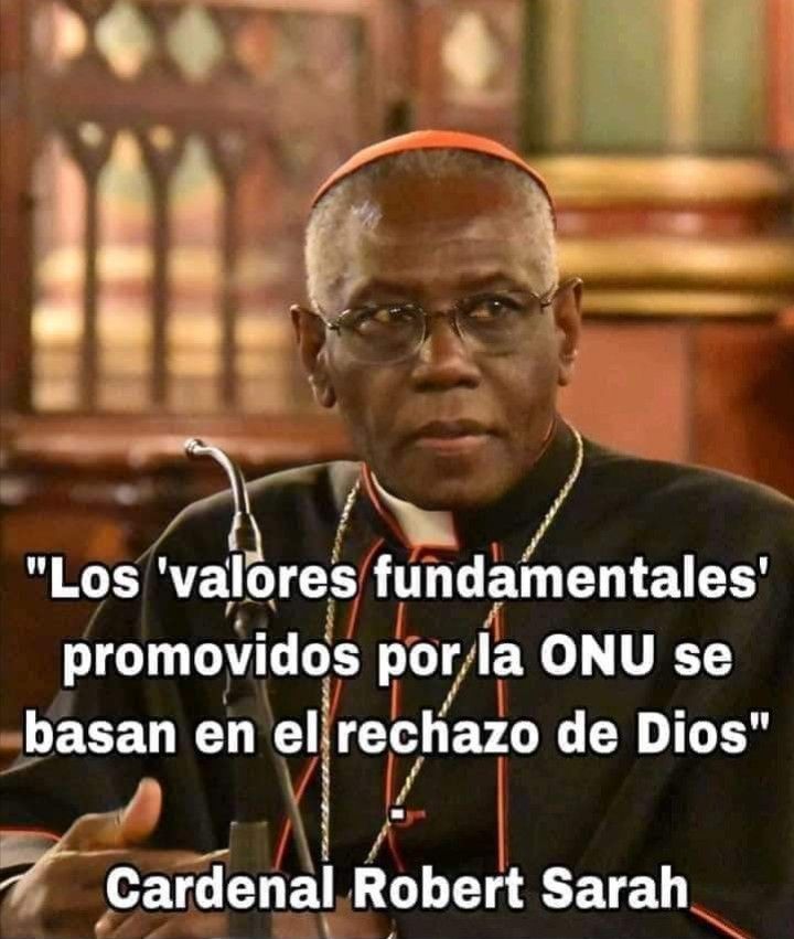 Ñ tweet media