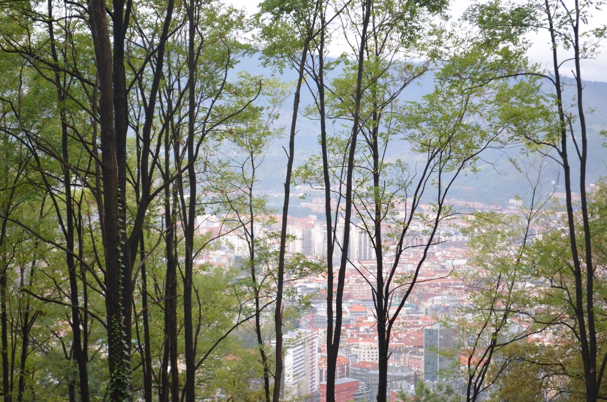 DebbieJayephoto's tweet image. My Entry for the Dusk Gallery – City
Paesaggi Urbani
Photography by Debbie Jaye Photography
#photography #urban #city #cityscapes #London #stpaulscathedral #Bilbao #Spain #photographer #photos #lovephotos