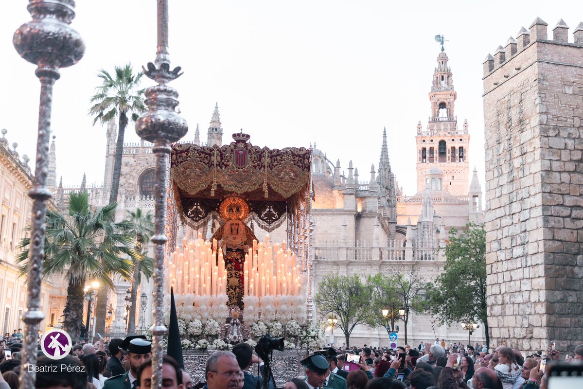 🟣SEVILLA: Imágenes de la <a href="/hdadstagenoveva/">Santa Genoveva</a> el pasado Lunes Santo.
📸: <a href="/beapphoto/">Beatriz Pérez</a> / <a href="/glblora/">Gonzalo Lora</a> 
#ElPenitente26 #tdscofrade #sevilla #lunessanto #hdadsantagenoveva #SemanaSantaSevilla2026