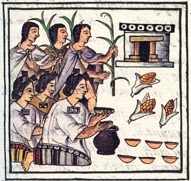 Revolucion Nacional Anahuaquista (RNA) ᛝ tweet media