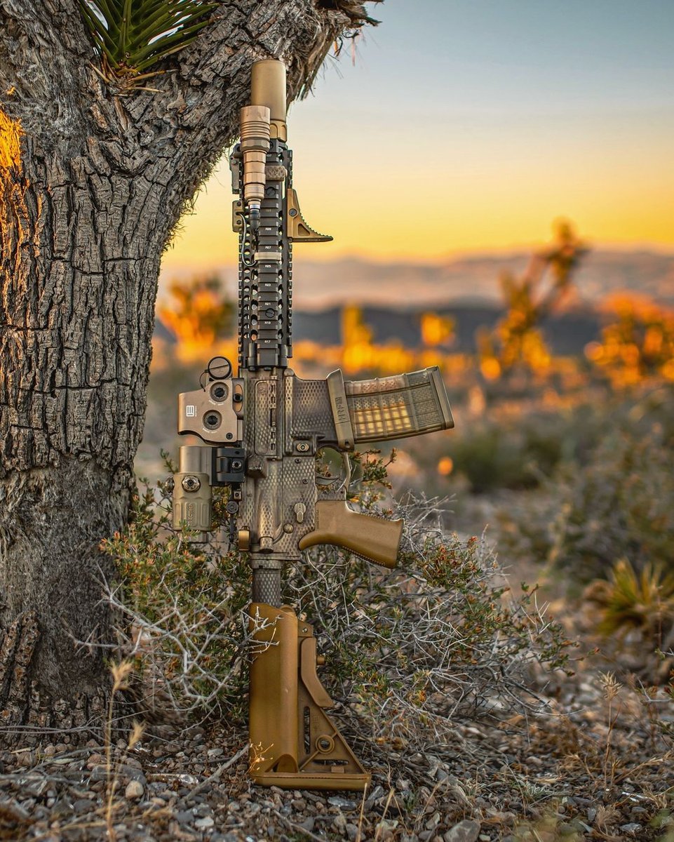 Daniel Defense tweet media