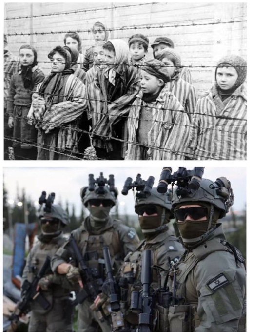 Vivid.🇮🇱 tweet media