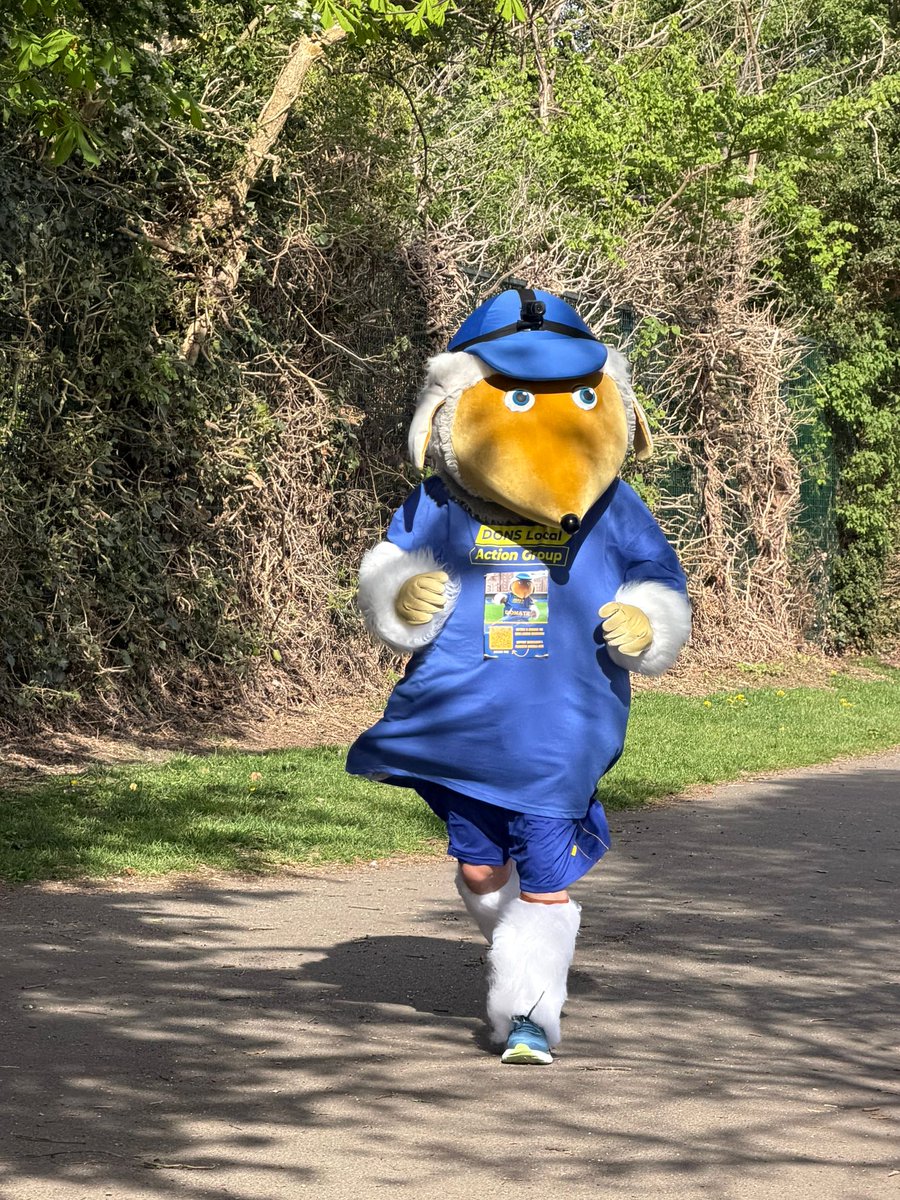 Haydon the Womble tweet media