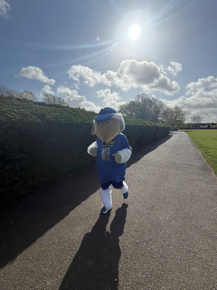 Haydon the Womble tweet media