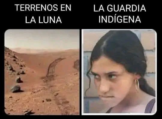 PolitiCrack, tweet media