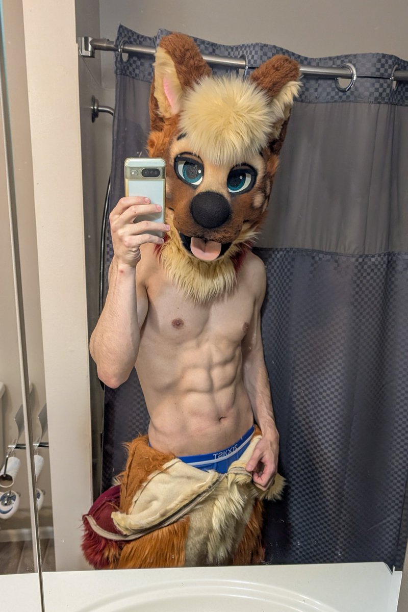 Kimchi Husky tweet media