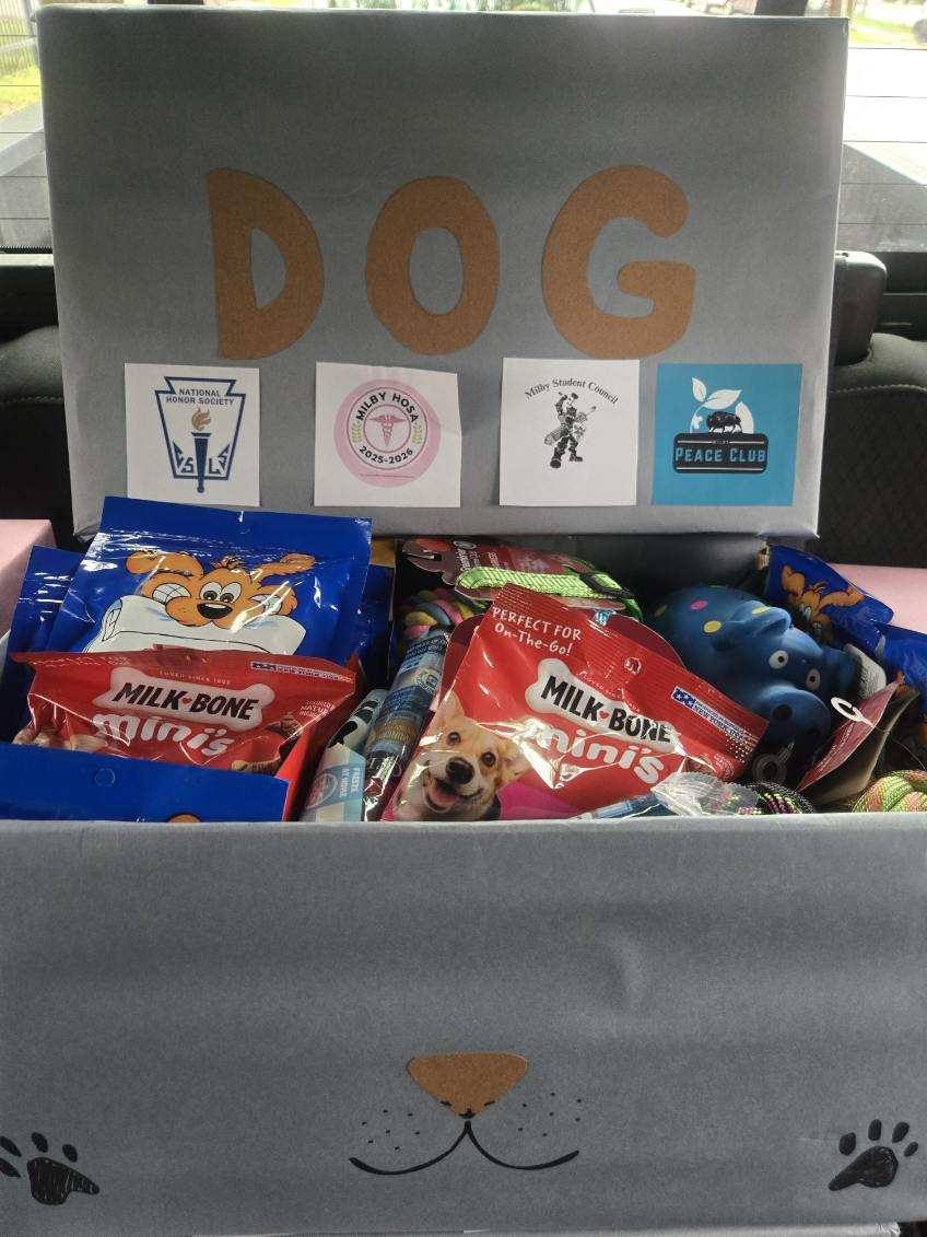 Barrio Dogs, Inc. tweet media