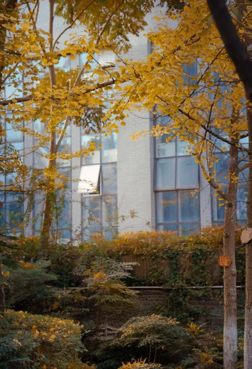 Hermione J.Granger tweet media