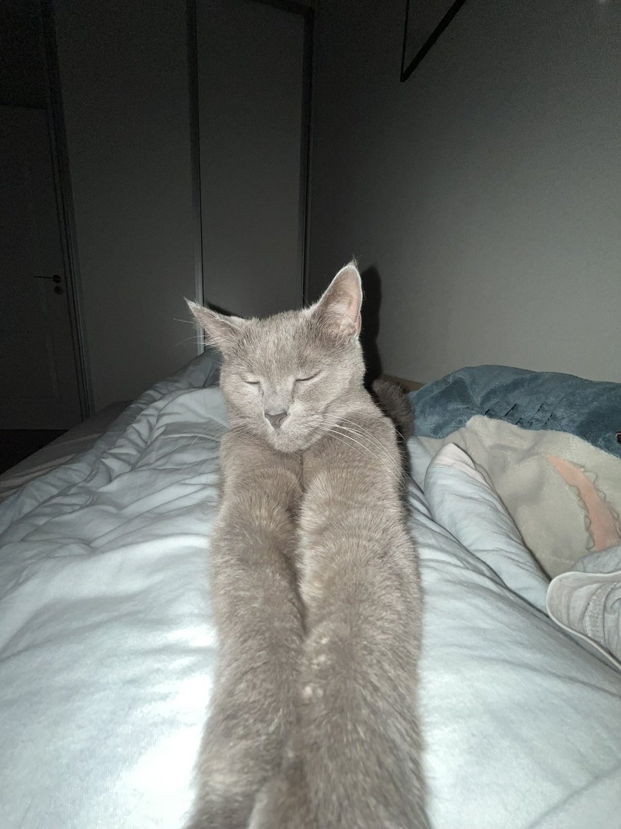 Nika𐙚˚ . ݁ tweet media