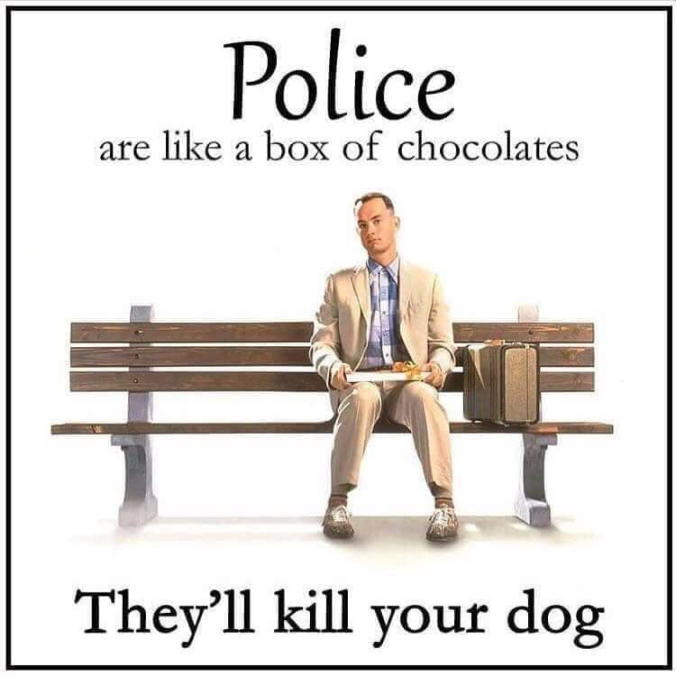 Glowie Boiz tweet media