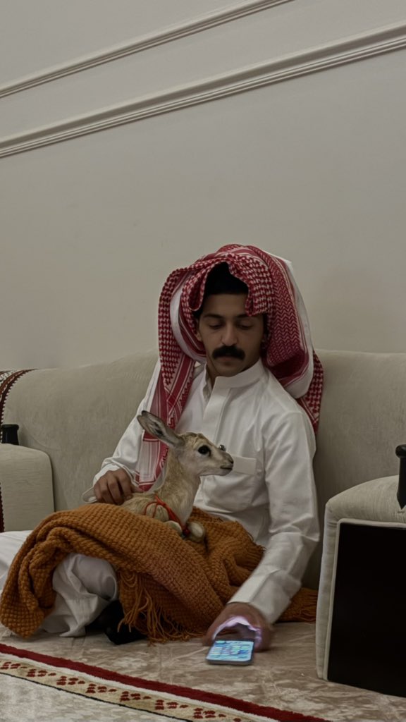 هزاع tweet media