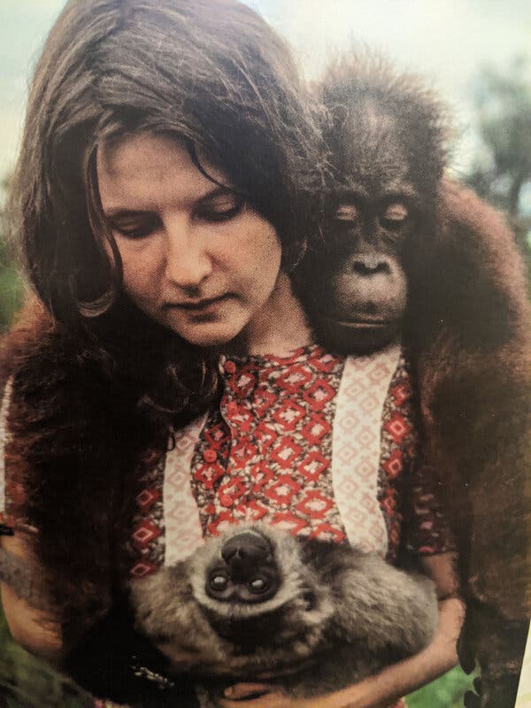 Dr. M.F. Khan tweet media