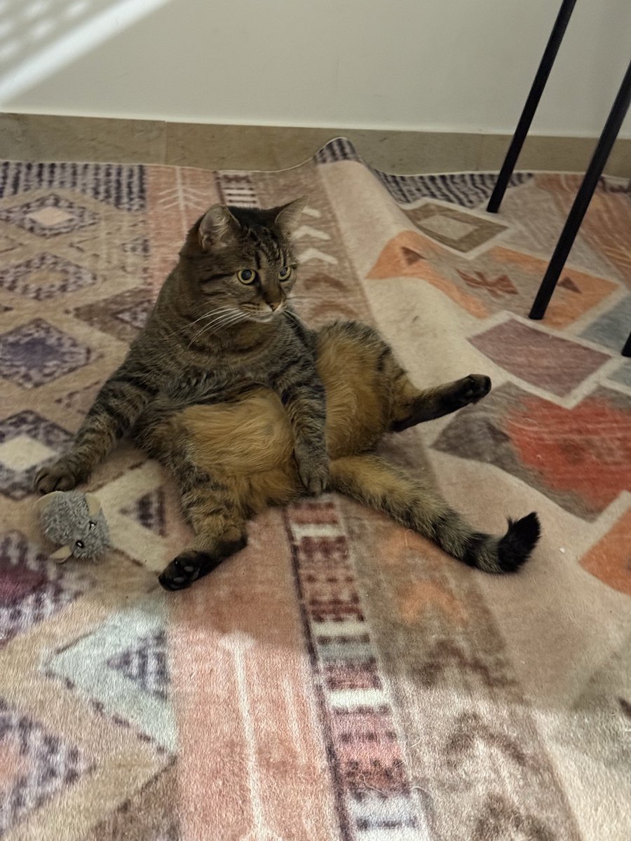 Alipat Sultanbegova tweet media